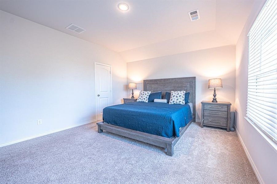 Carpeted bedroom with baseboards and lofted ceiling