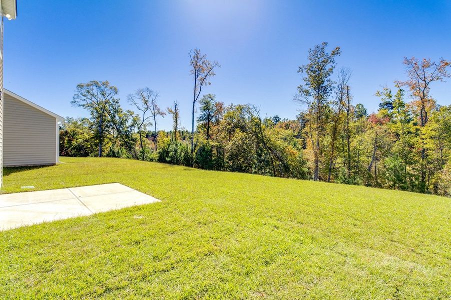 Natural landscape and outdoor views near The Falls in Blythewood (Image 31).