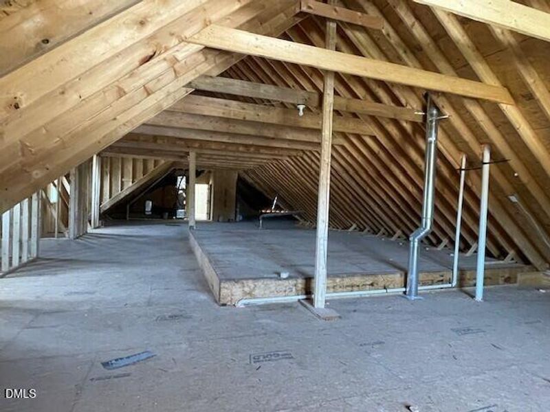Unfinished Attic Storage