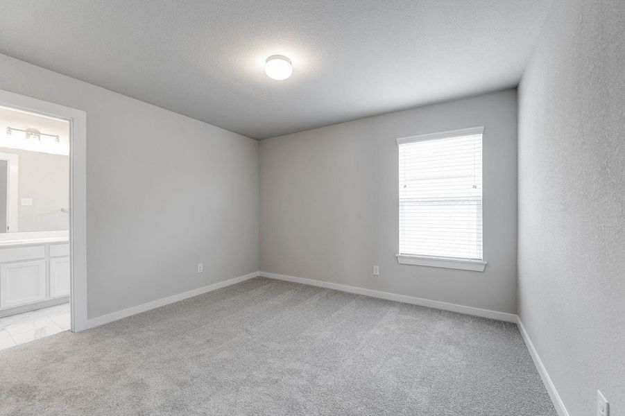 representative photo representative photo