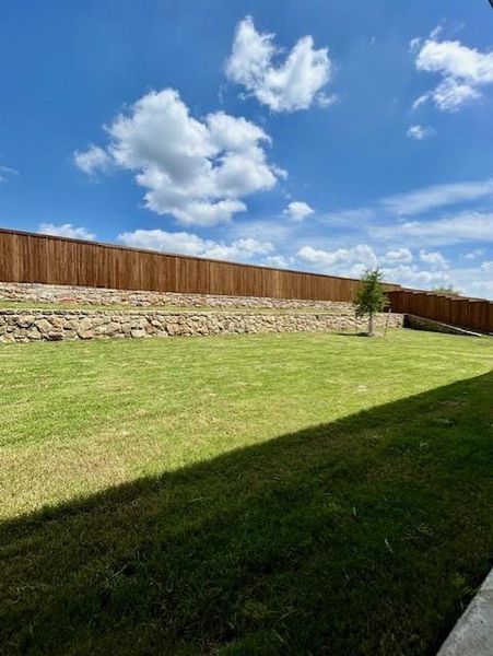 Expansive backyard featuring a manicured lawn, a young tree, and a multi-level retaining wall constructed with natural stone