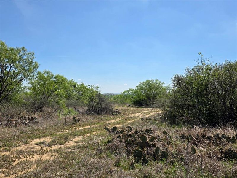 Natural landscape and outdoor views near  in San Saba (Image 23).