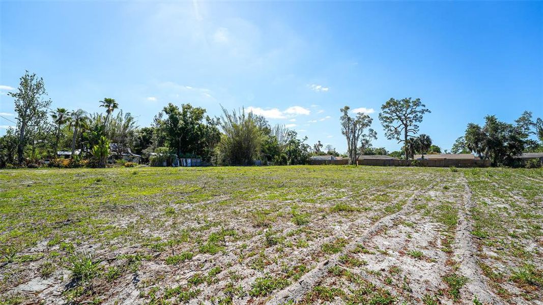 Natural landscape and outdoor views near  in Sarasota (Image 29).