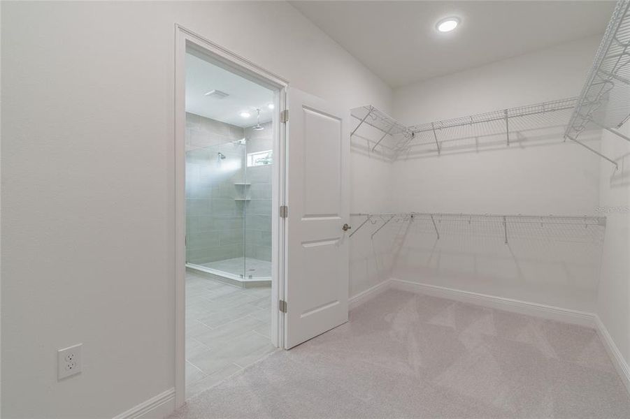 Spacious, unfurnished interior of a new home in , Tampa (Image 30).