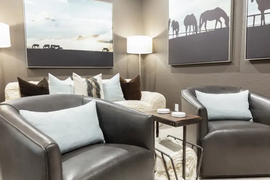 Representative Entertainment Room - some options shown