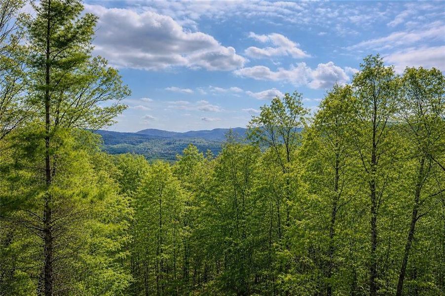 Natural landscape and outdoor views near  in Ellijay (Image 42).
