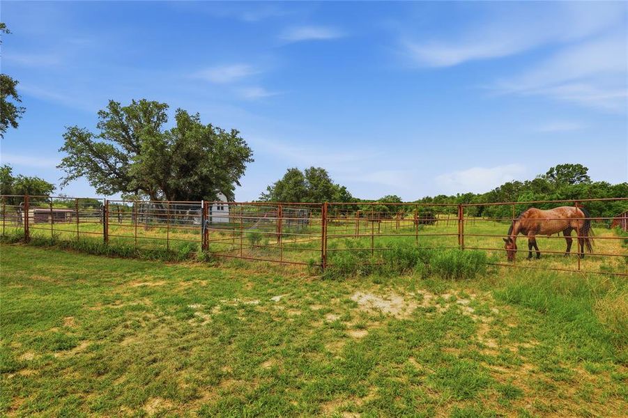 Natural landscape and outdoor views near in Springtown (Image 22). Natural landscape and outdoor views near in Springtown (Image 22).