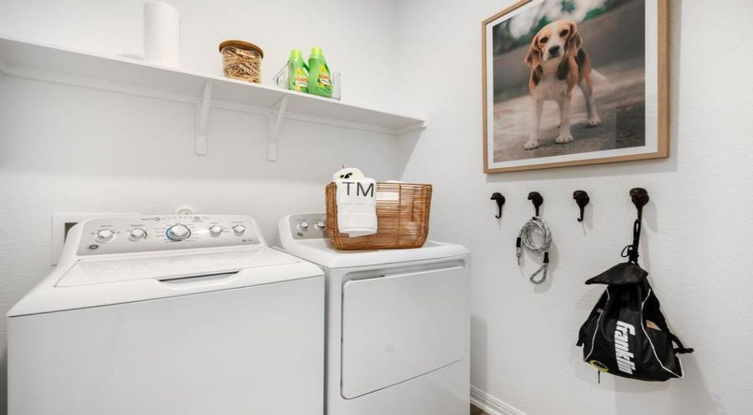 Representative Photo