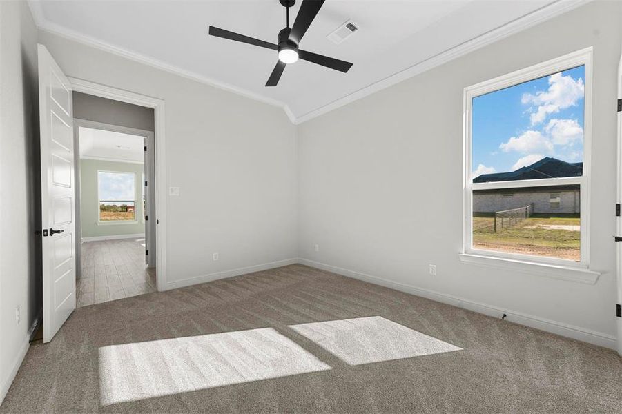 Carpeted spare room featuring ceiling fan and crown molding