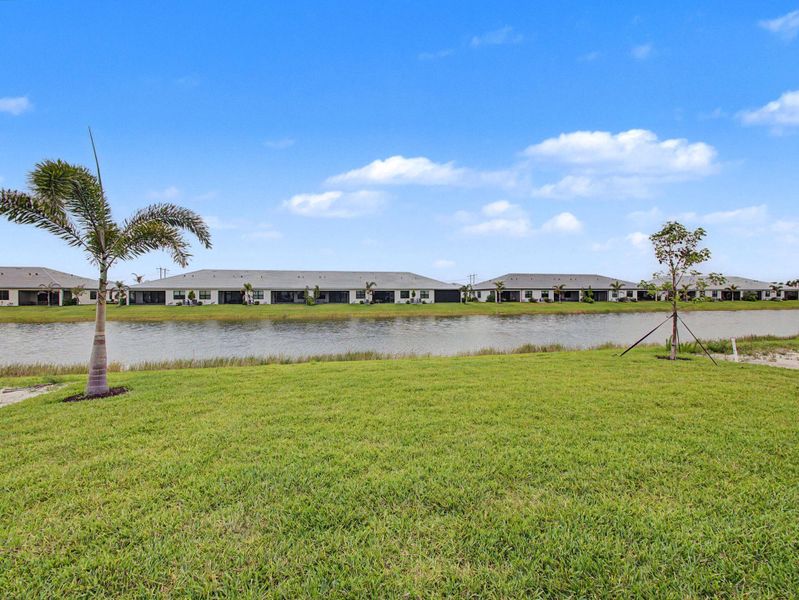 Backyard Lake