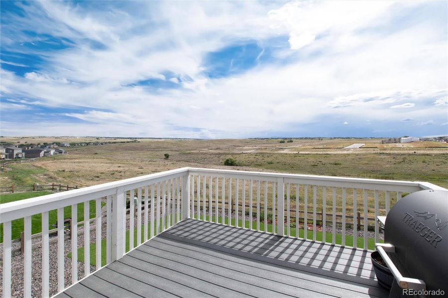 Back deck and green belt beyond.