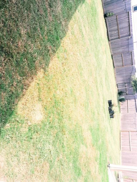 Image 34 of a home in Towne Lake 50'. Image 34 of a home in Towne Lake 50'.