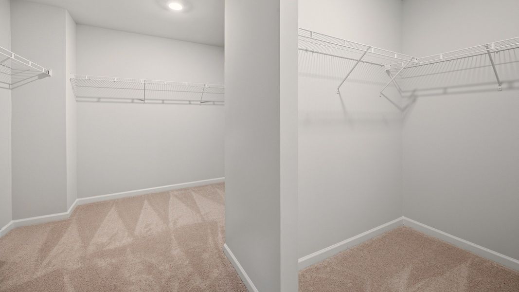 Primary closet with carpet and ventilated shelves Primary closet with carpet and ventilated shelves