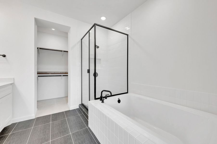 Owner's Bath