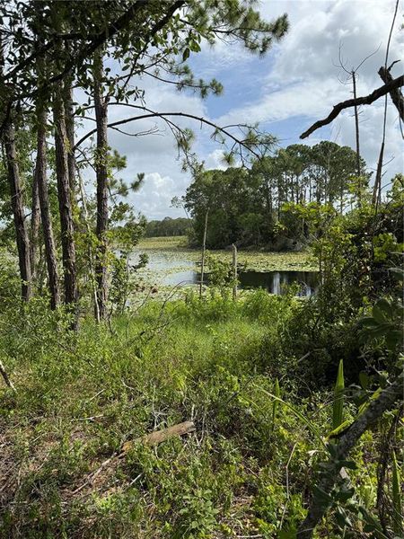 Image 37 of a home in .