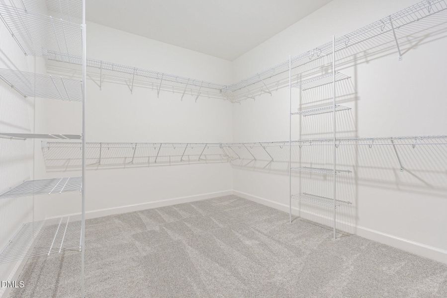 016_file_446 016_file_446