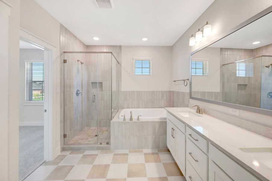 Owner's Bath