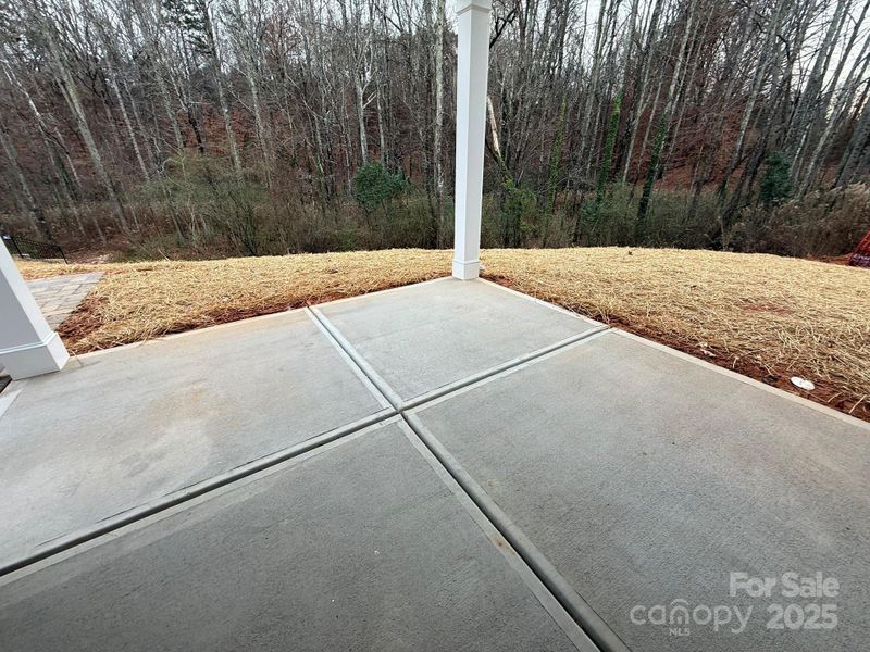 Exterior details and patio area of a home in Robinson Oaks, Gastonia (Image 3).