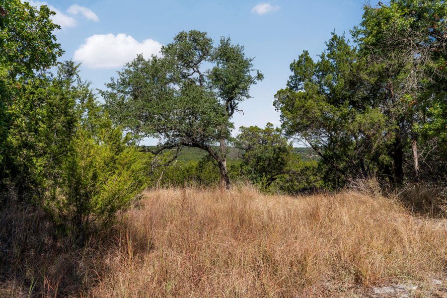 Natural landscape and outdoor views near  in Wimberley (Image 26).