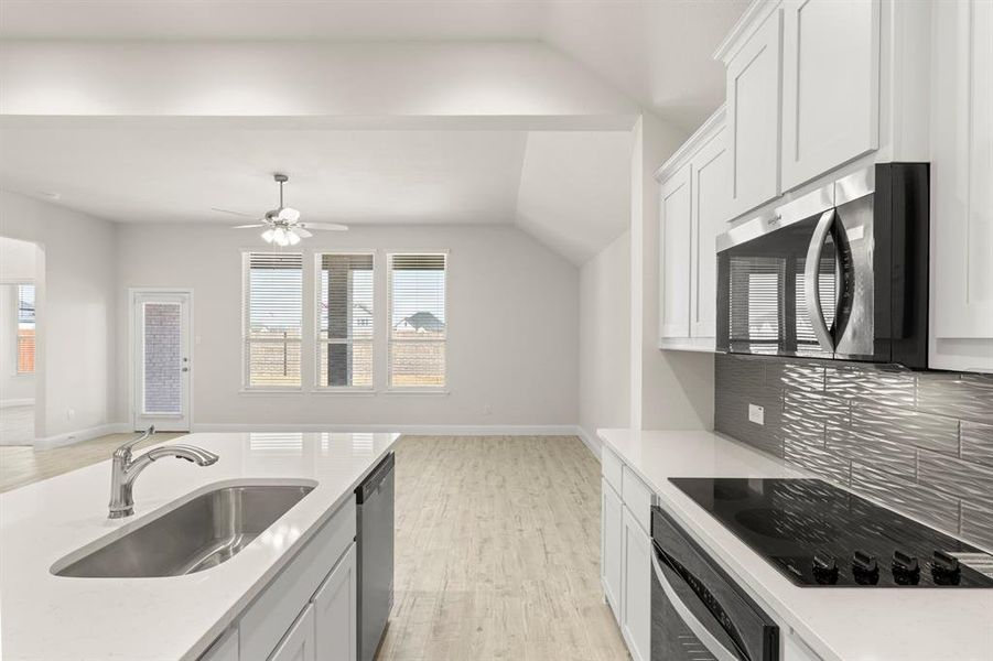 14. 3013 Rembrandt - Kitchen (3)