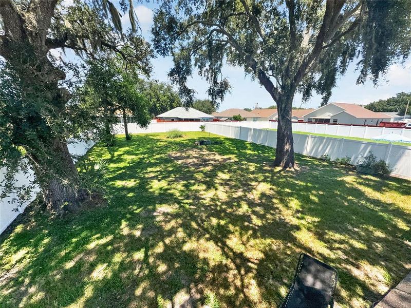 Natural landscape and outdoor views near  in Winter Haven (Image 21).