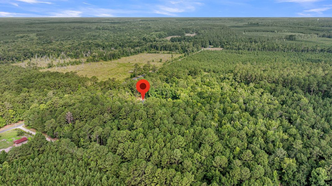 Natural landscape and outdoor views near  in Smoaks (Image 31).