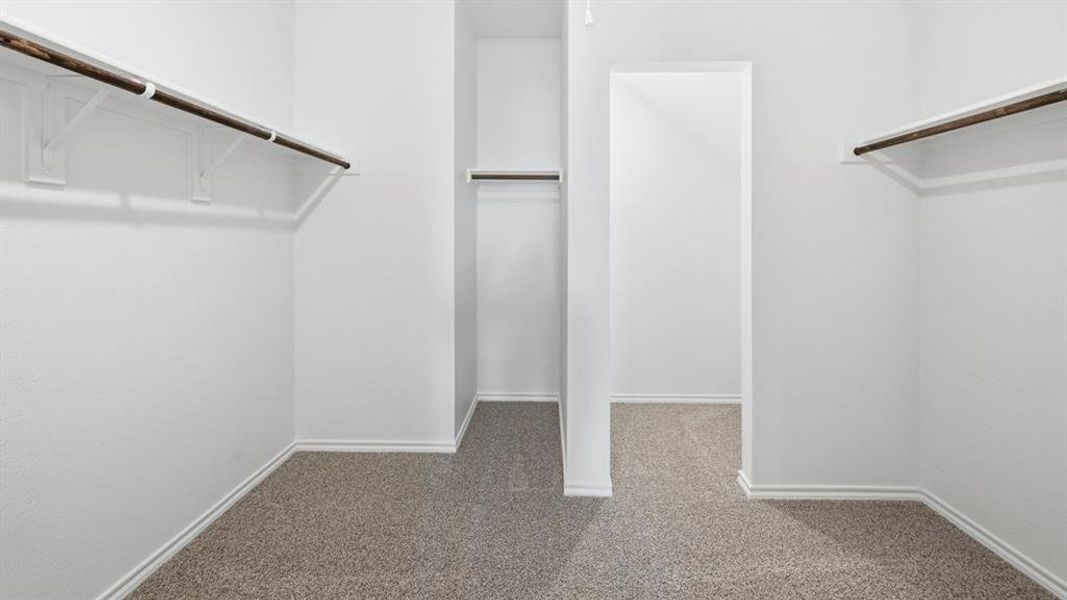 Spacious closet featuring light carpet