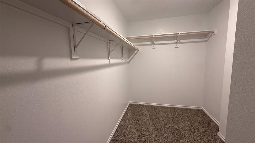 Spacious walk-in closet featuring light-colored walls and soft, patterned carpet flooring
