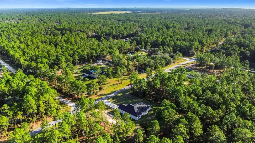 Aerial perspective of property featuring dense woodland surroundings, expansive lot size, paved access road, and mature evergreen vegetation