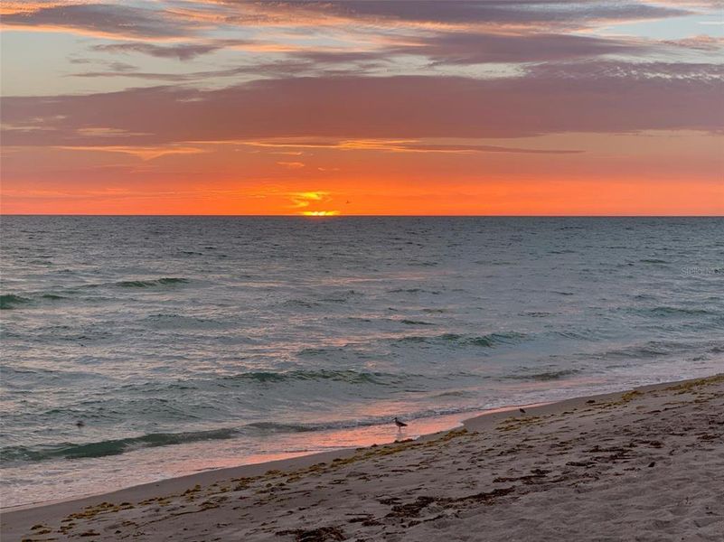 Natural landscape and outdoor views near in Longboat Key (Image 68). Natural landscape and outdoor views near in Longboat Key (Image 68).