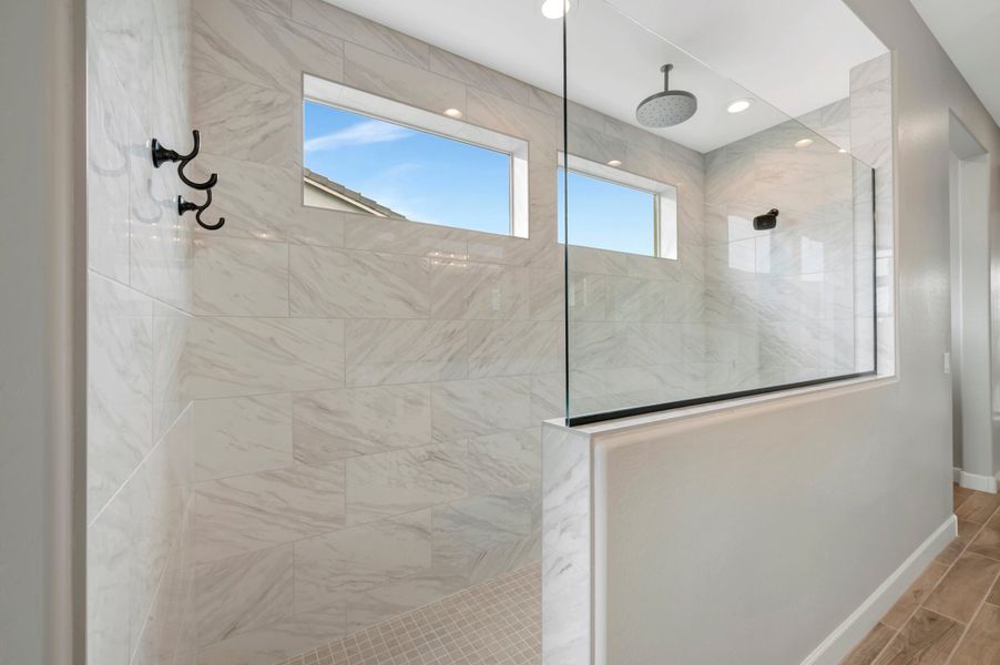 Owner's Bath