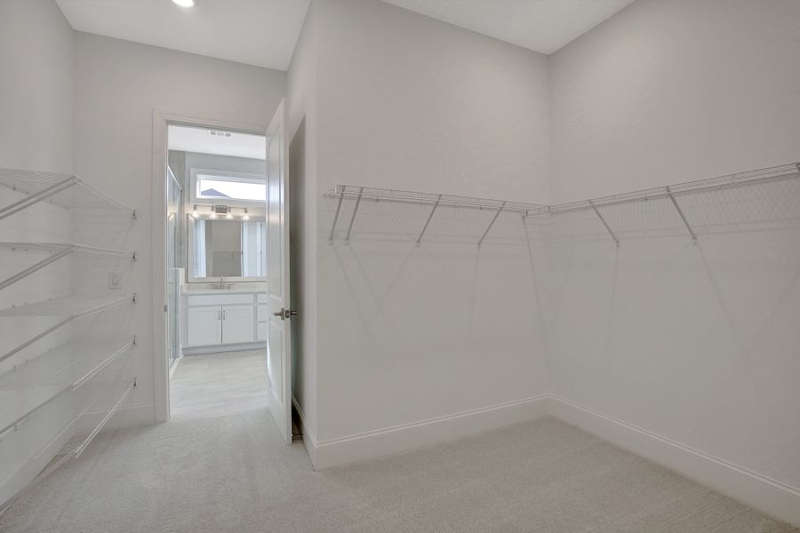 Model Photo Used for Reference