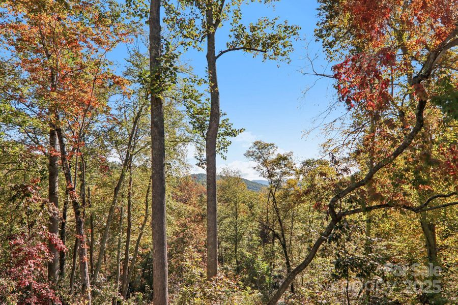 Natural landscape and outdoor views near  in Hendersonville (Image 25).