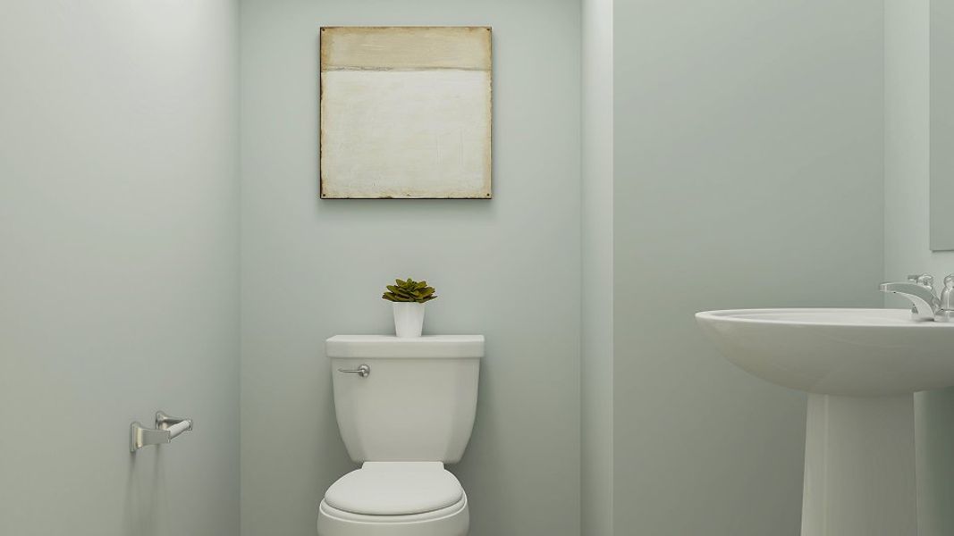 2620 Mia Powder F1 2620 Mia Powder F1