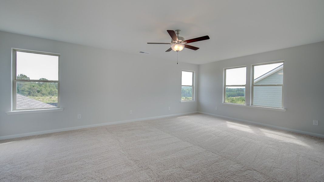 Stonefield primary suite featuring tray ceiling, carpet flooring, and spacious layout at Brighton in Locust Grove, GA.