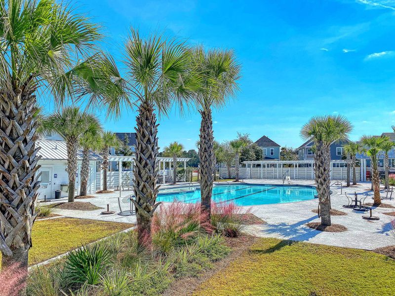 Community amenities in Heron's Walk at Summers Corner, Summerville (Image 46).