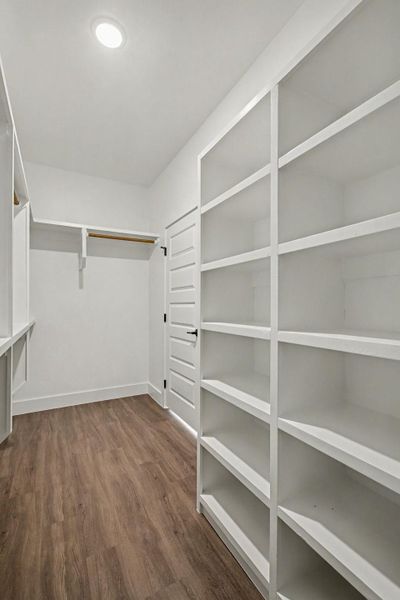 Walk in closet featuring dark wood-style floors