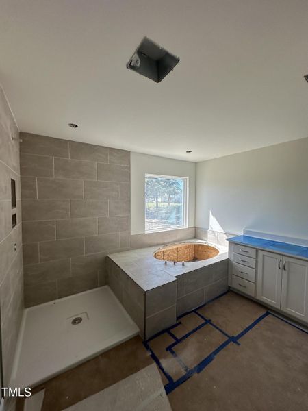 Primary Luxury Shower/Bath