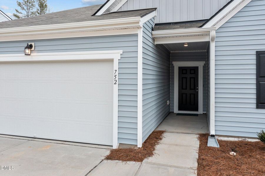 Entrance Firefly Entrance Firefly