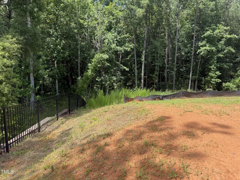 IMG_5864 - Copy IMG_5864 - Copy