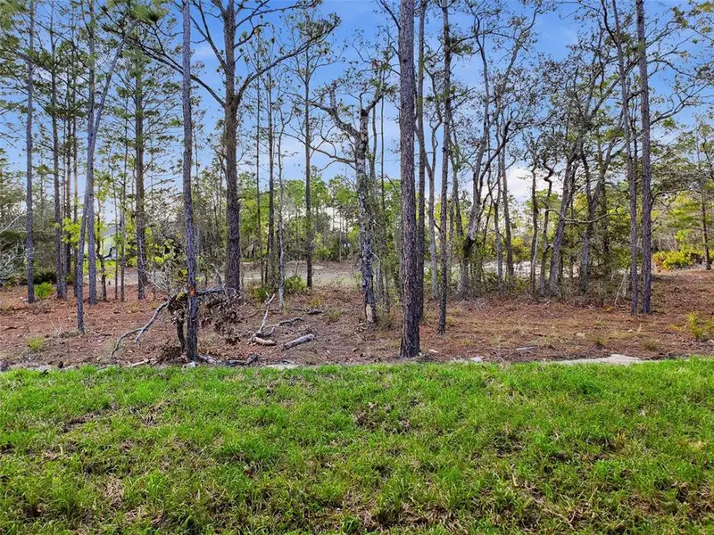 Natural landscape and outdoor views near  in Homosassa (Image 33).