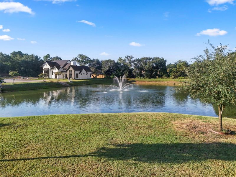 Natural landscape and outdoor views near  in Tomball (Image 4).