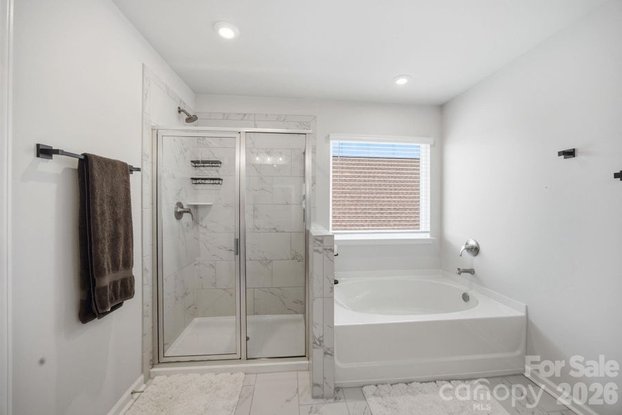 Separate soaking tub and walk-in shower