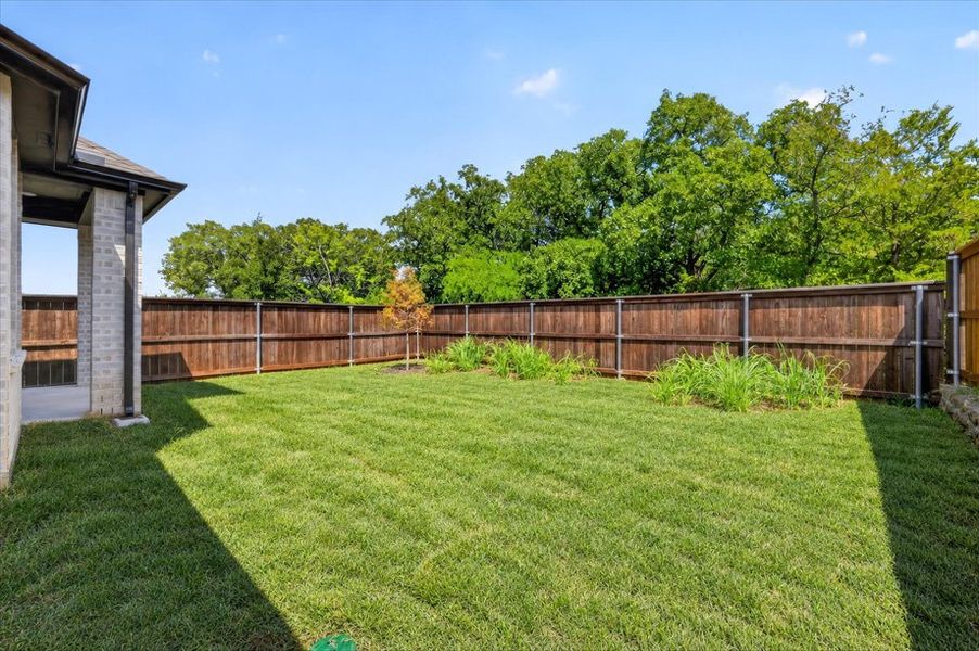 Backyard