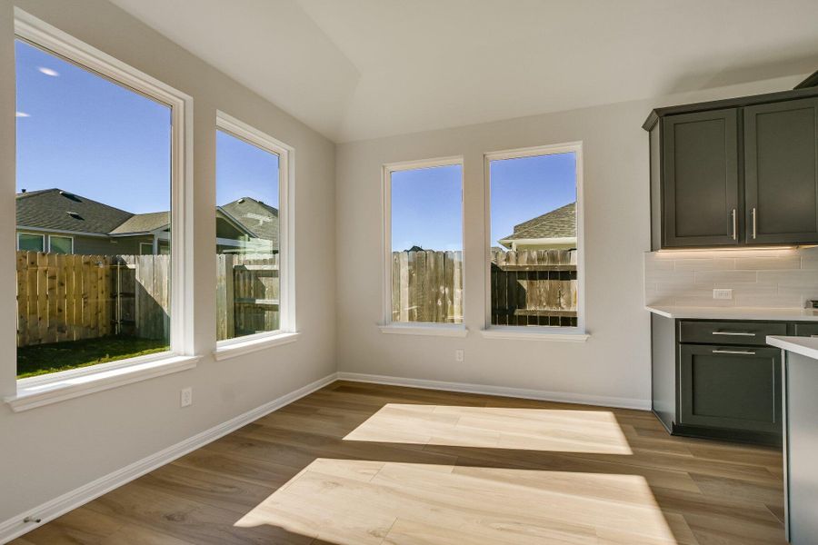 217 Smithsonian Lane Kyle, TX New Home Image 8