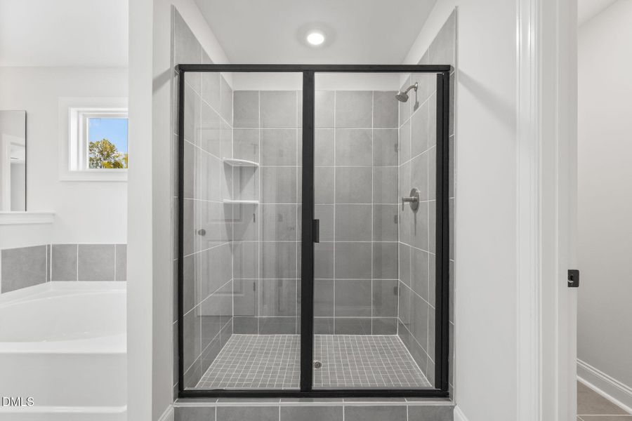 43-web-or-mls-IMG_2474