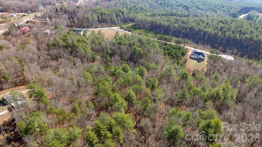 Natural landscape and outdoor views near  in Morganton (Image 29).