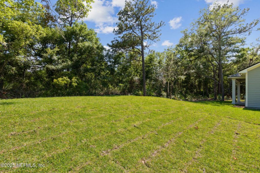 Natural landscape and outdoor views near  in Yulee (Image 40).