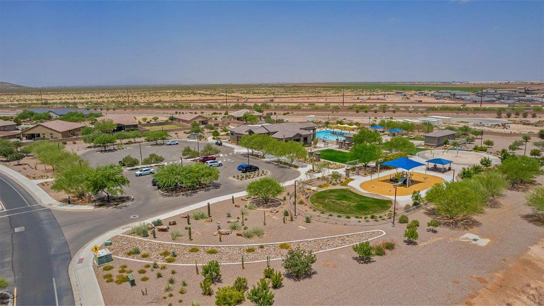 Image 7 representing the Rosemont by D.R. Horton in Saguaro Bloom, Marana, AZ.