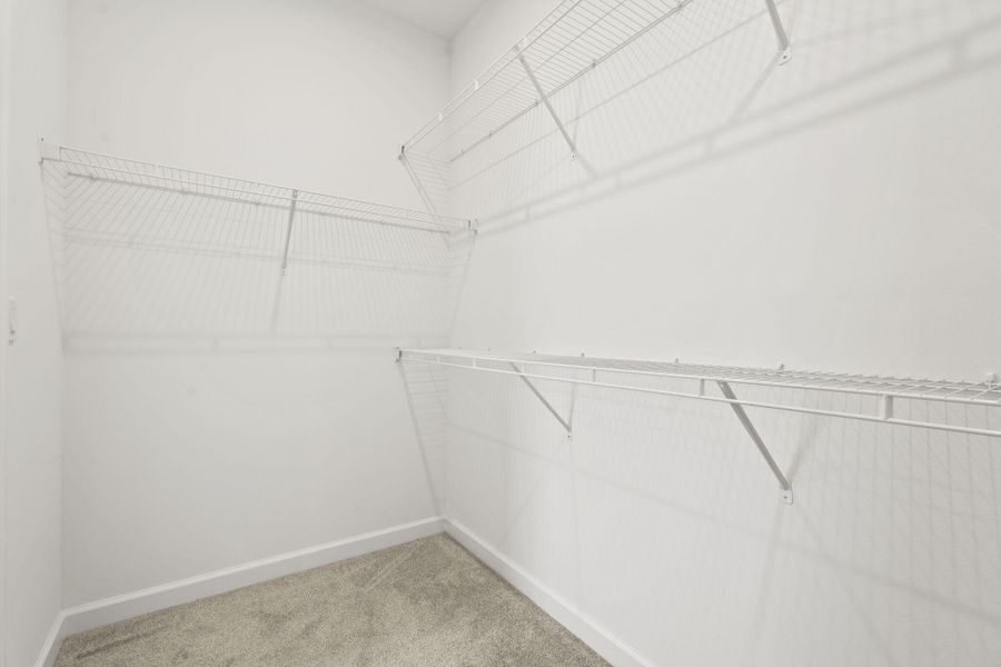 26-web-or-mls-DSC02888